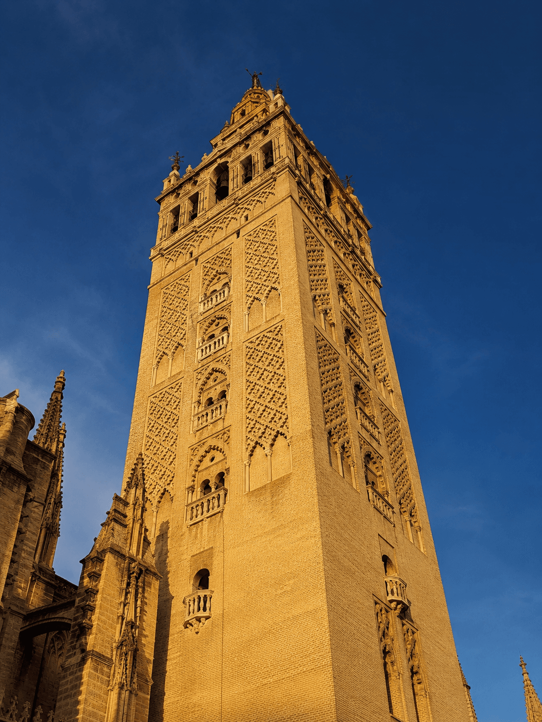 The Giralda, Seville